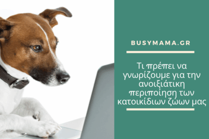 Τι πρέπει να γνωρίζουμε για την ανοιξιάτικη περιποίηση των κατοικίδιων ζώων μας